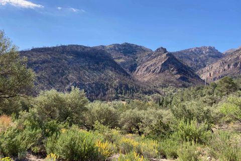 Landejendom i El Perello, Tarragona, El Perello - € 36.000 | Ref: Finca Montanas - foto 19